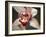 Orchid Portrait I-Nicole Katano-Framed Photo