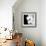 Orchid Portrait II-Jeff Maihara-Framed Giclee Print displayed on a wall