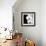 Orchid Portrait II-Jeff Maihara-Framed Giclee Print displayed on a wall