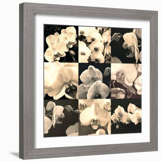 Orchid Rhapsody-Katja Marzahn-Framed Giclee Print