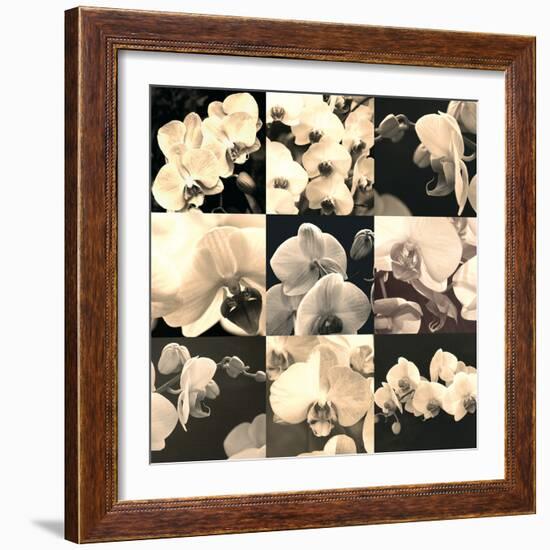 Orchid Rhapsody-Katja Marzahn-Framed Giclee Print