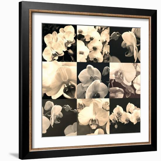 Orchid Rhapsody-Katja Marzahn-Framed Giclee Print