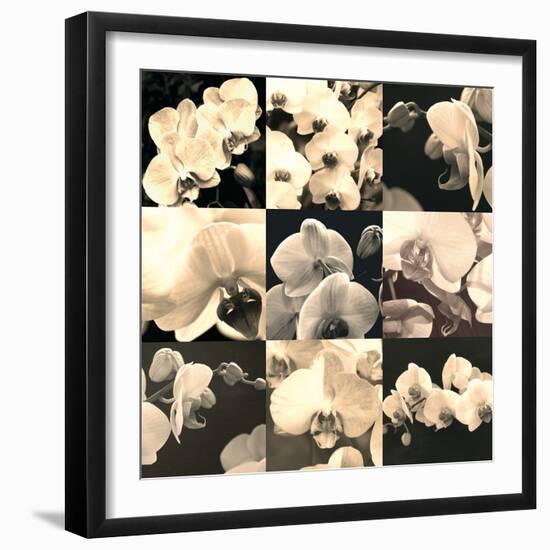 Orchid Rhapsody-Katja Marzahn-Framed Giclee Print