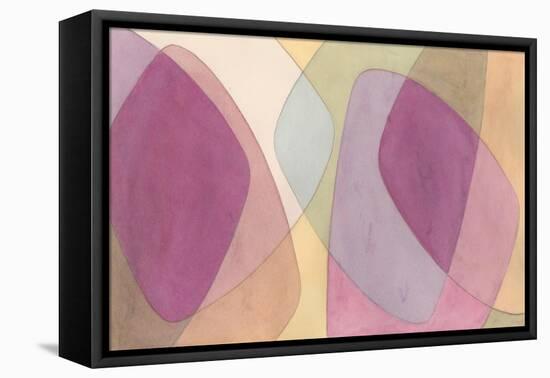 Orchid Scribe II-Renee W. Stramel-Framed Stretched Canvas
