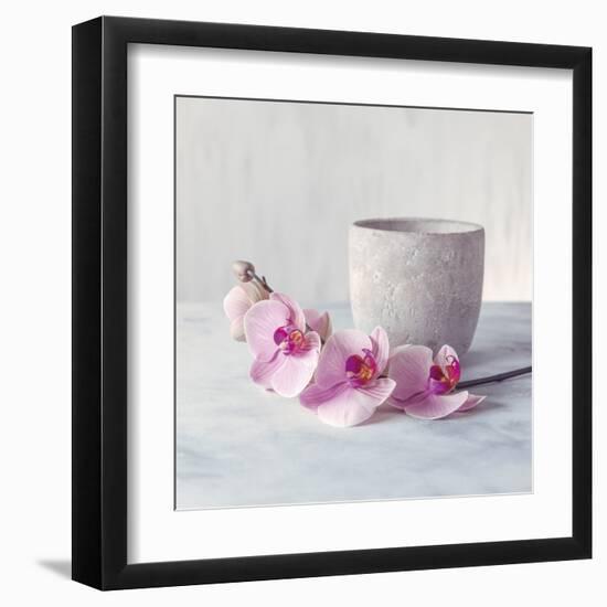 Orchid - Serenity-Assaf Frank-Framed Giclee Print