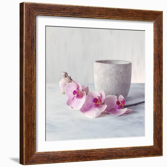 Orchid - Serenity-Assaf Frank-Framed Giclee Print