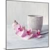 Orchid - Serenity-Assaf Frank-Mounted Giclee Print