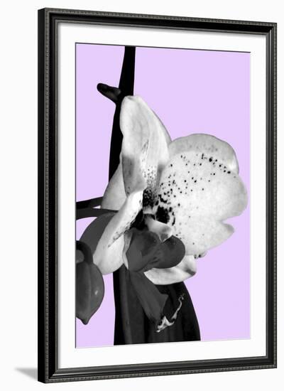 Orchid Shadow I-Sukhanlee-Framed Giclee Print