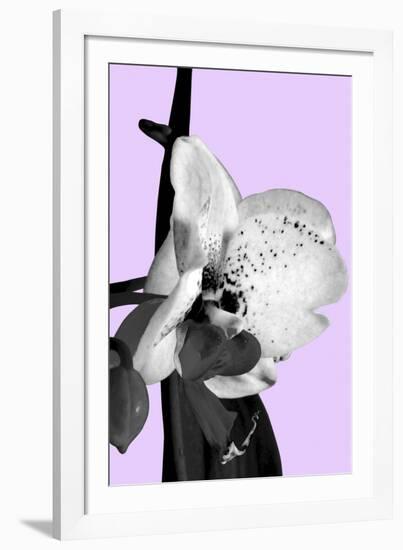 Orchid Shadow I-Sukhanlee-Framed Giclee Print