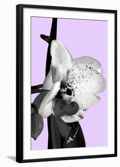 Orchid Shadow I-Sukhanlee-Framed Giclee Print