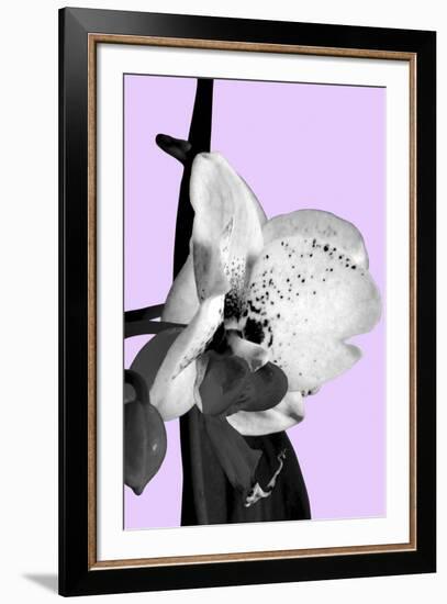 Orchid Shadow I-Sukhanlee-Framed Giclee Print