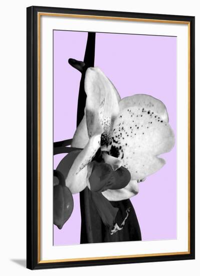 Orchid Shadow I-Sukhanlee-Framed Giclee Print