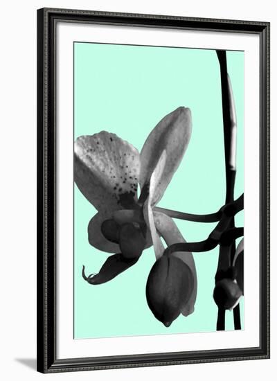 Orchid Shadow II-Sukhanlee-Framed Giclee Print