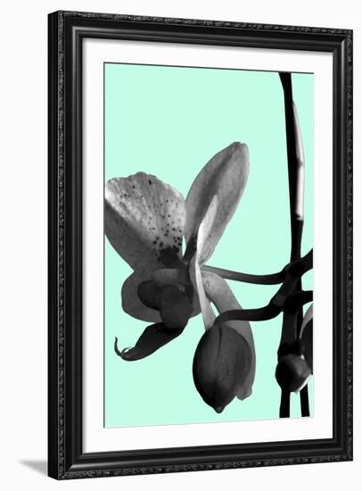 Orchid Shadow II-Sukhanlee-Framed Giclee Print