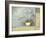 Orchid Spa 1-Lisa Audit-Framed Giclee Print