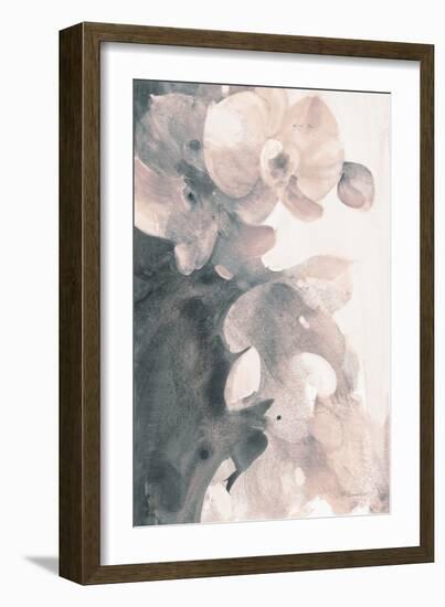 Orchid Splendor II Blush-Albena Hristova-Framed Art Print