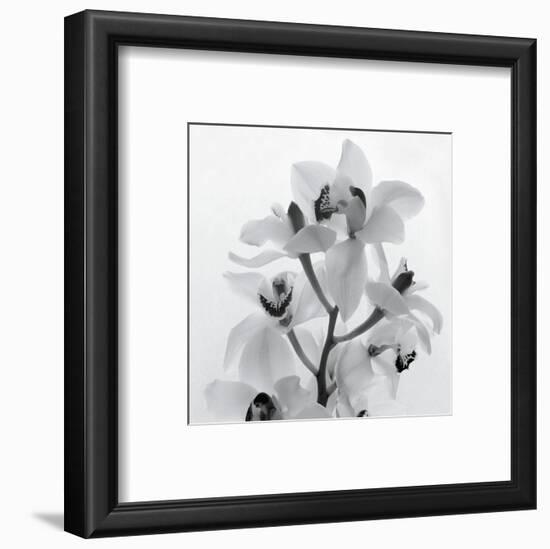 Orchid Spray I-Tom Artin-Framed Art Print