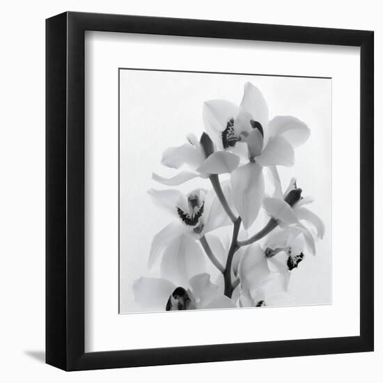 Orchid Spray I-Tom Artin-Framed Art Print