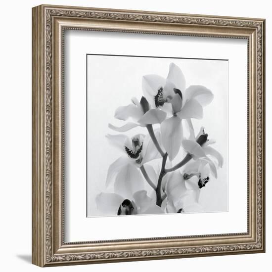 Orchid Spray I-Tom Artin-Framed Art Print