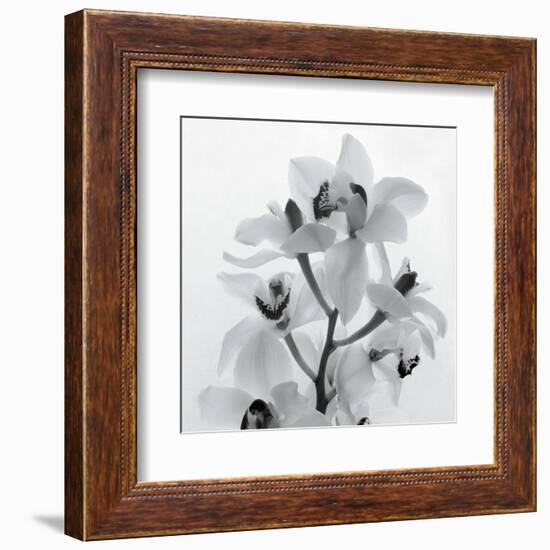 Orchid Spray I-Tom Artin-Framed Art Print