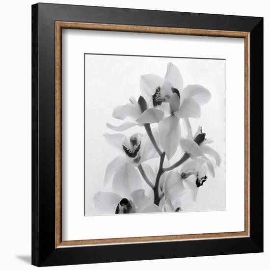 Orchid Spray I-Tom Artin-Framed Art Print