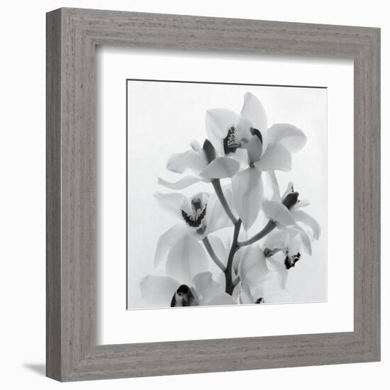 Orchid Spray I-Tom Artin-Framed Art Print