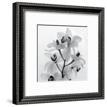 Orchid Spray I-Tom Artin-Framed Art Print