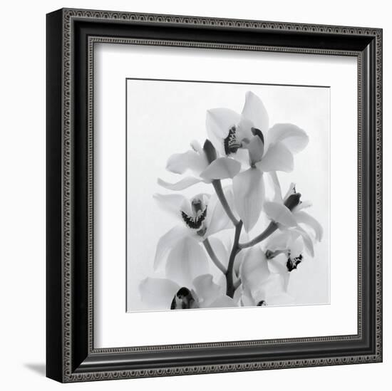 Orchid Spray I-Tom Artin-Framed Art Print