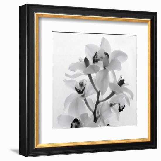 Orchid Spray I-Tom Artin-Framed Art Print