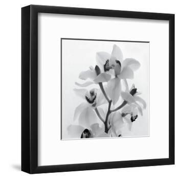 Orchid Spray I-Tom Artin-Framed Art Print