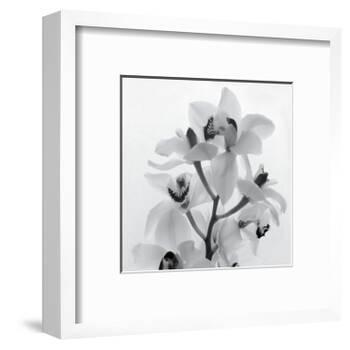 Orchid Spray I-Tom Artin-Framed Art Print