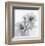 Orchid Spray II-Tom Artin-Framed Art Print