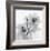 Orchid Spray II-Tom Artin-Framed Art Print