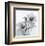 Orchid Spray II-Tom Artin-Framed Art Print