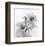 Orchid Spray II-Tom Artin-Framed Art Print