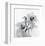 Orchid Spray II-Tom Artin-Framed Art Print