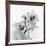 Orchid Spray II-Tom Artin-Framed Art Print