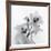 Orchid Spray II-Tom Artin-Framed Art Print