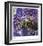 Orchid Square-Ken Bremer-Framed Limited Edition