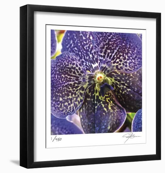 Orchid Square-Ken Bremer-Framed Limited Edition