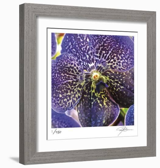 Orchid Square-Ken Bremer-Framed Limited Edition