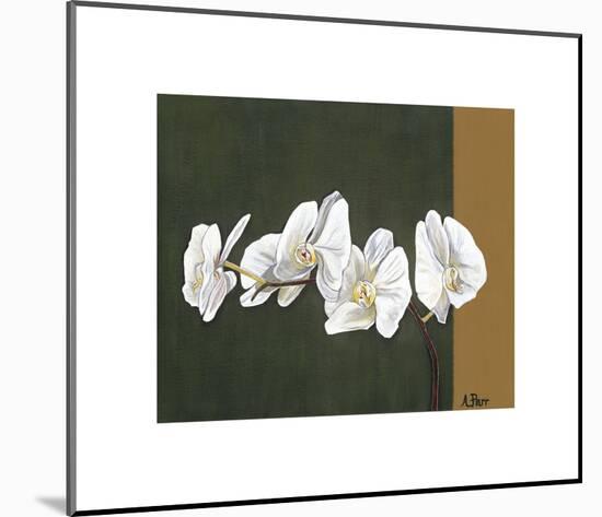 Orchid Study I-Ann Parr-Mounted Giclee Print