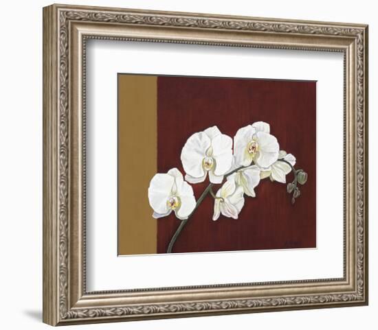 Orchid Study II-Ann Parr-Framed Giclee Print