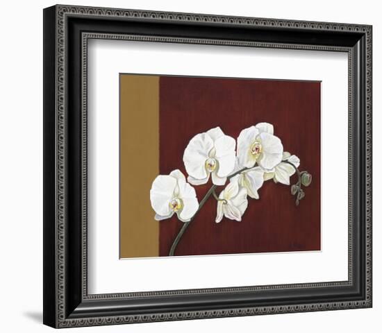 Orchid Study II-Ann Parr-Framed Giclee Print