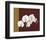 Orchid Study II-Ann Parr-Framed Giclee Print
