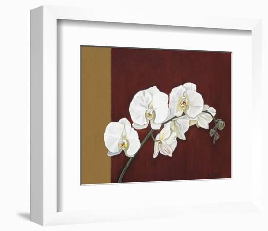 Orchid Study II-Ann Parr-Framed Giclee Print