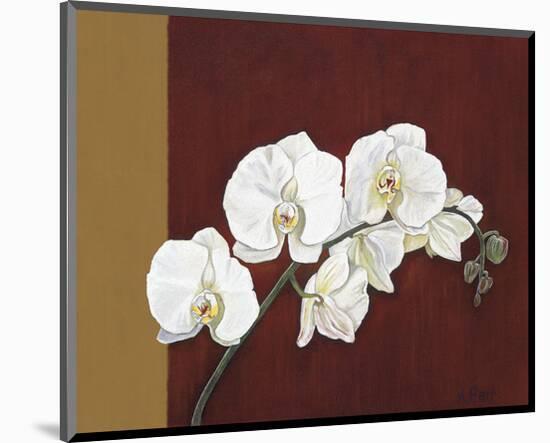 Orchid Study II-Ann Parr-Mounted Giclee Print