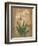 Orchid Study-unknown Chun-Framed Art Print