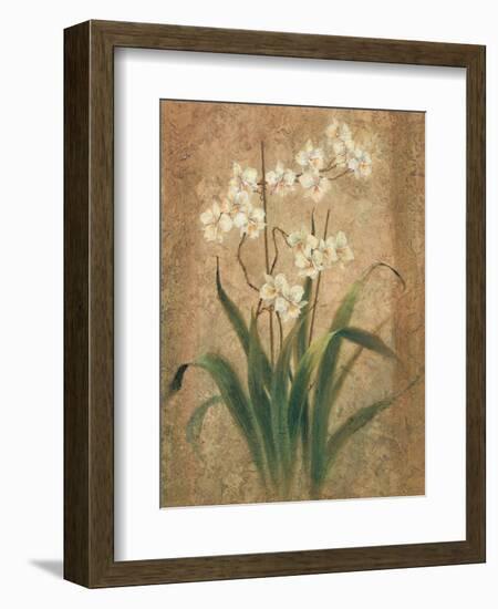 Orchid Study-unknown Chun-Framed Art Print