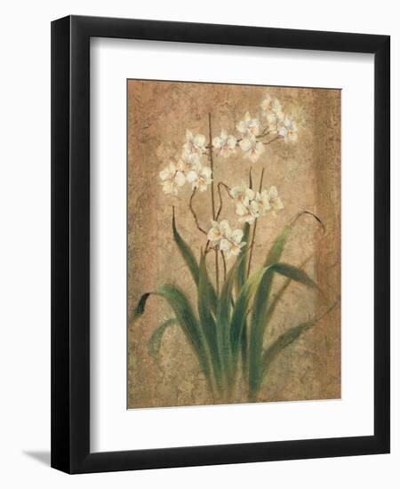 Orchid Study-unknown Chun-Framed Art Print